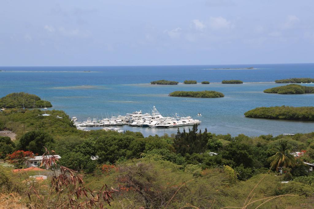 Parador Turtle Bay Inn La Parguera Bagian luar foto